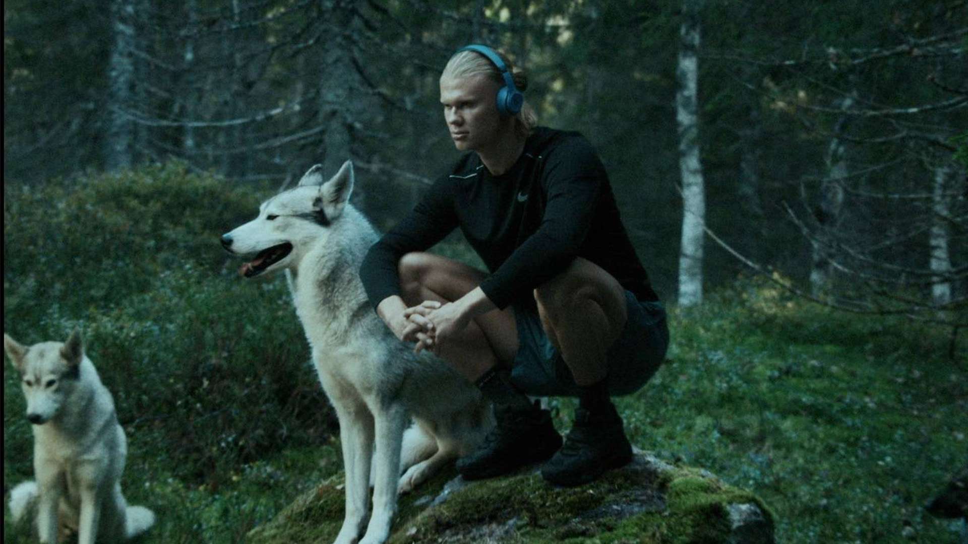 量的提升 量的提升